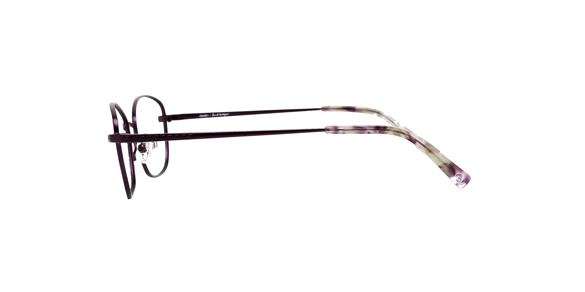 Clearly Glasses EUPORIE