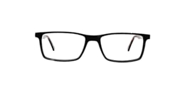 Clearly Glasses HARVEY