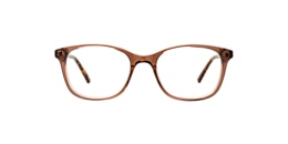 Clearly Glasses BIRCH