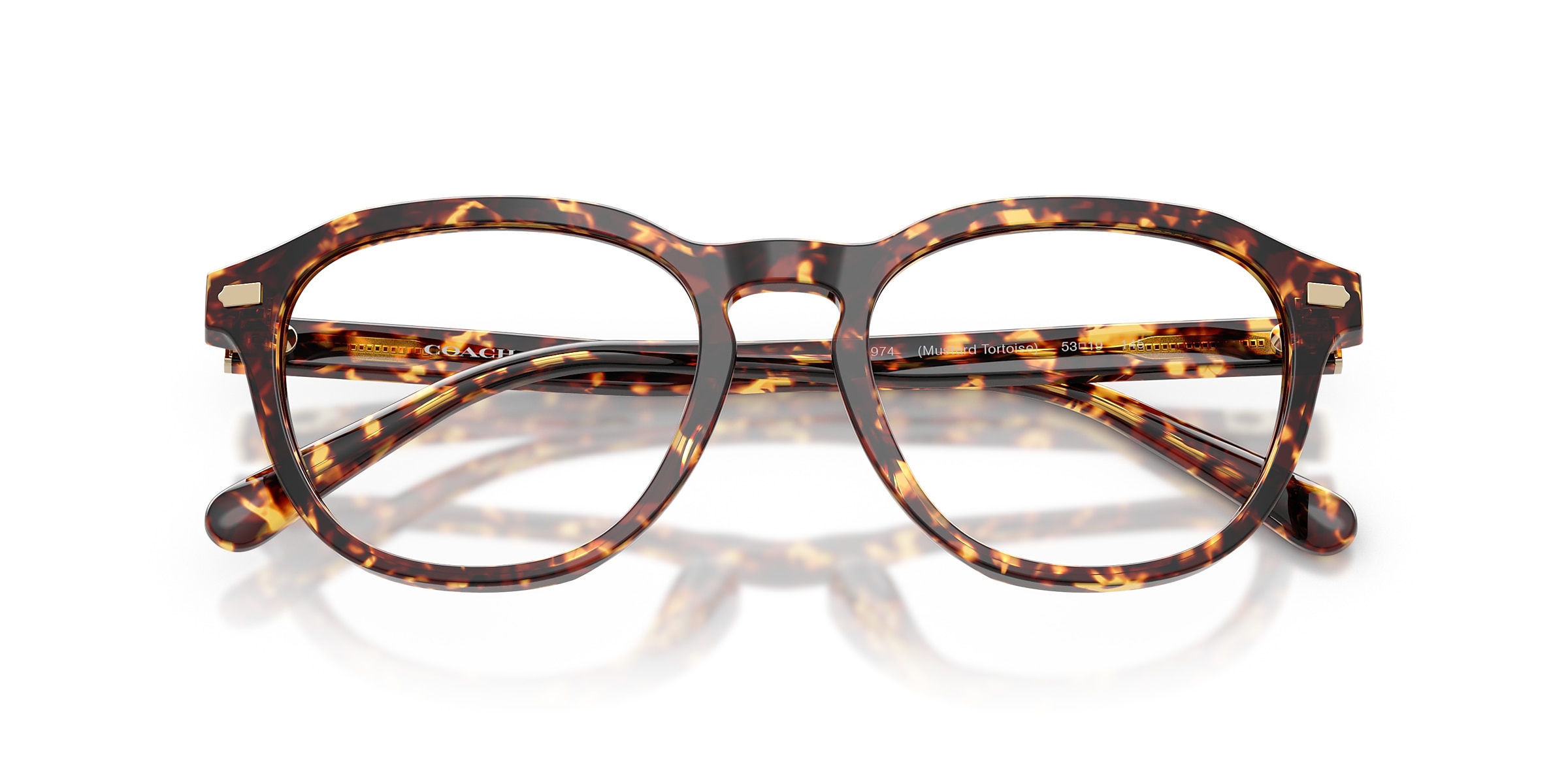 Coach Glasses HC6311U