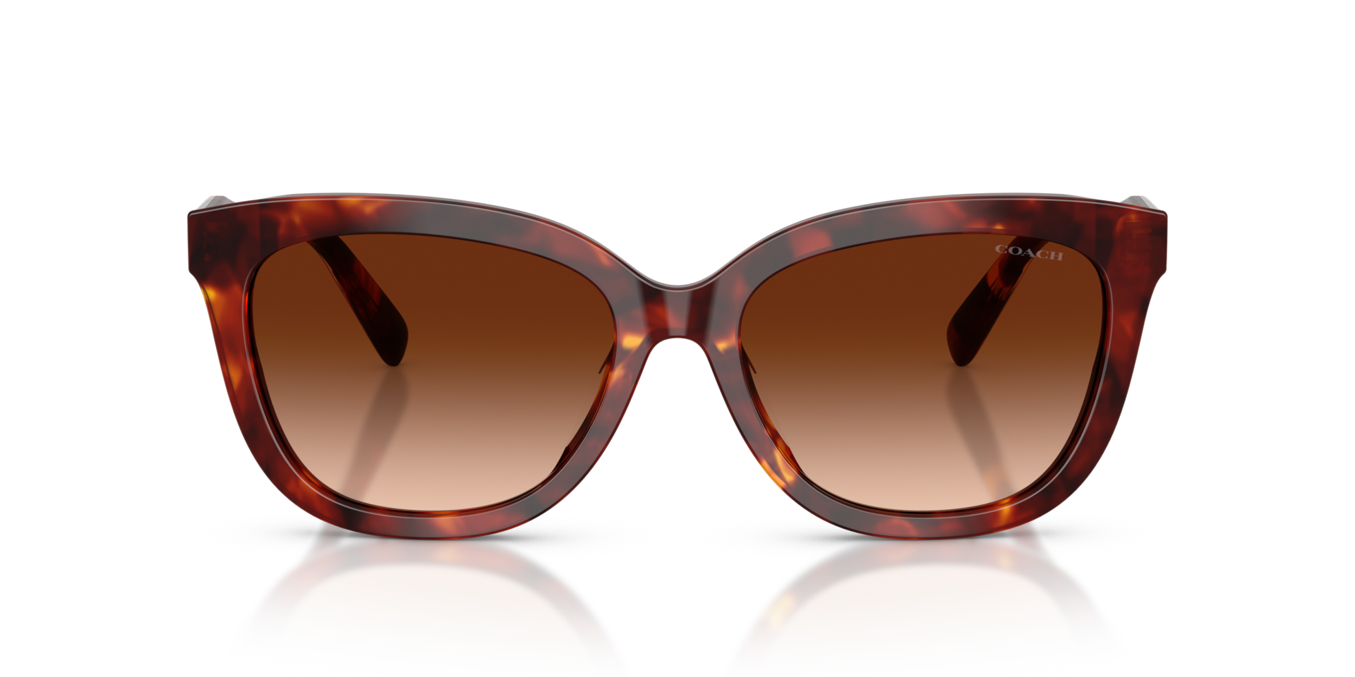 COACH Woman Sunglasses CDP53  -  Frame color: Walnut Tortoise, Lens color: Brown Gradient