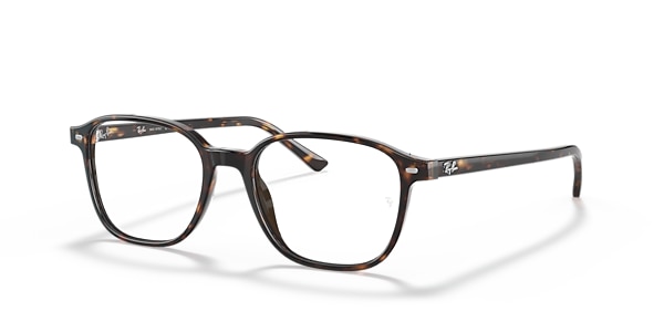RB5393 LEONARD OPTICS