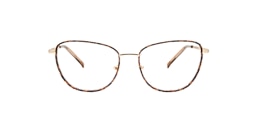 Clearly Glasses SPONDE
