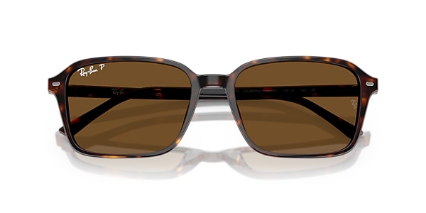 Ray-Ban Sunglasses RB2231 RAIMOND