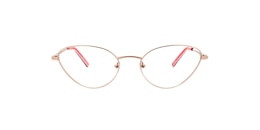 Clearly Glasses WARWICK