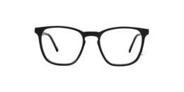 Clearly Glasses PITTA