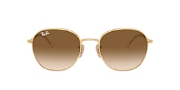 Ray-Ban Sunglasses RB3809
