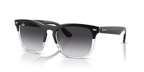 Ray-Ban Sunglasses RB4487 STEVE