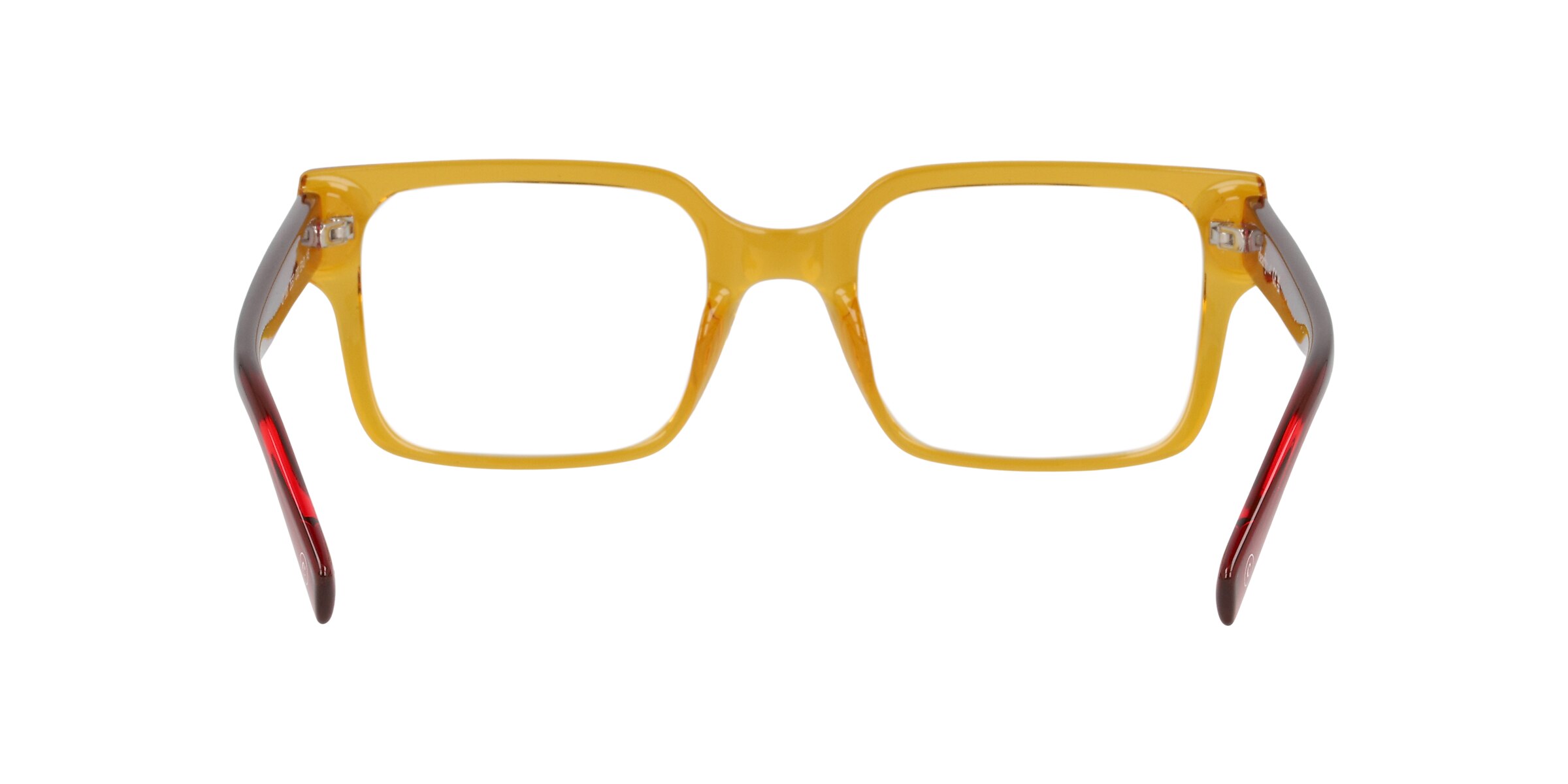 Clearly Glasses ZEST