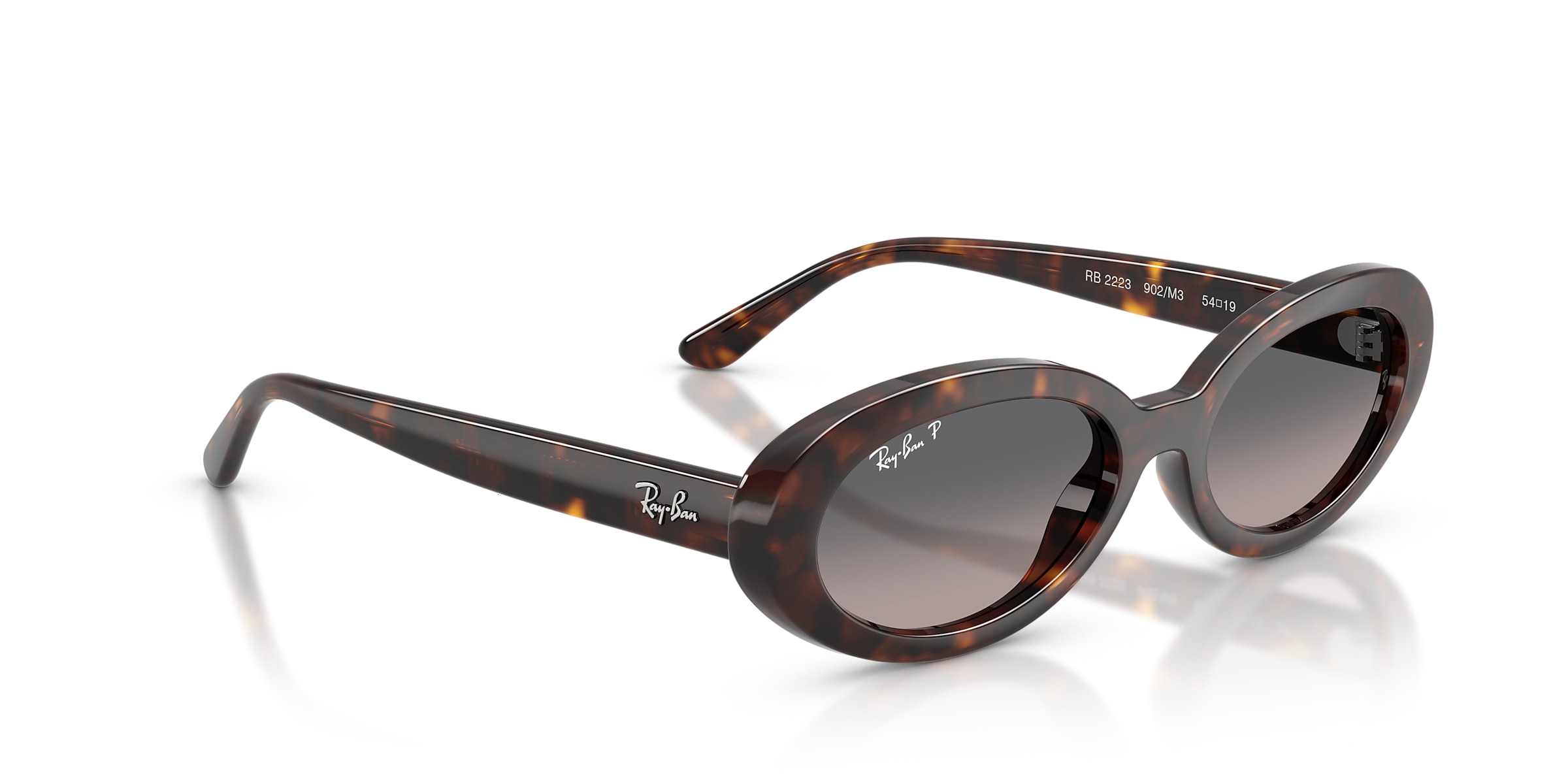 Ray-Ban Sunglasses RB2223