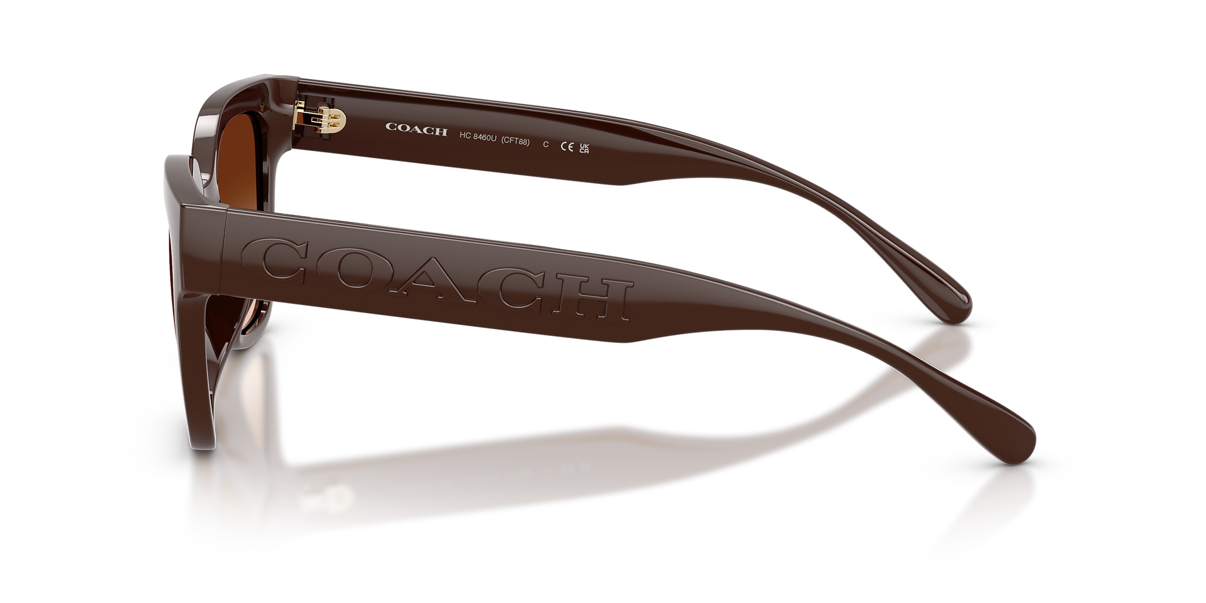 Coach Sunglasses HC8460U CFT88