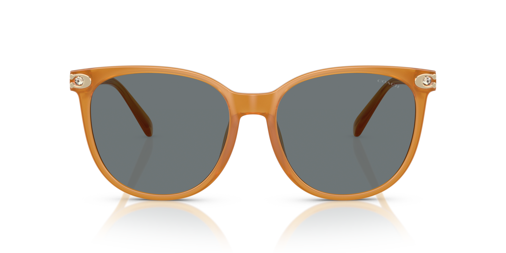 COACH Woman Sunglasses CW428  -  Frame color: Milky Amber, Lens color: Grey Solid
